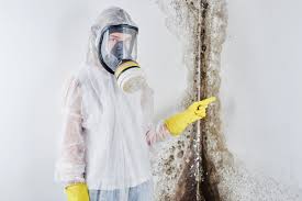 Best Mold Prevention Services  in South Palm Beach, FL